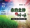 影音: 永約之神的呼喚(MP3)－瑪拉基書現代詮釋